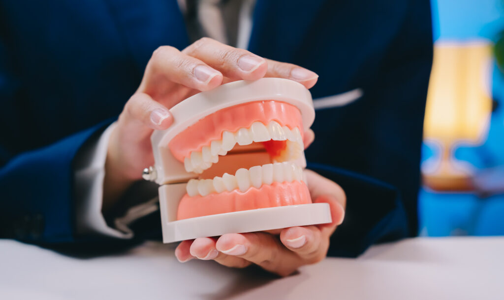 Dental model showing healthy teeth and pink gum tissue up close